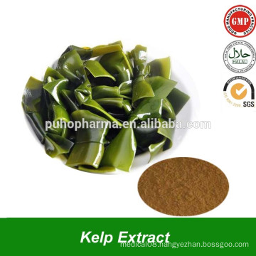 Wakame Kelp Extract Powder with fucoxanthin Powder